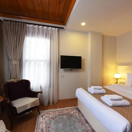 Elyka Hotel 3*