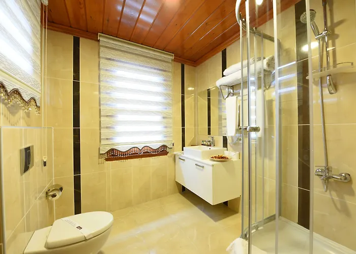 Ξενοδοχείο Elyka 3*