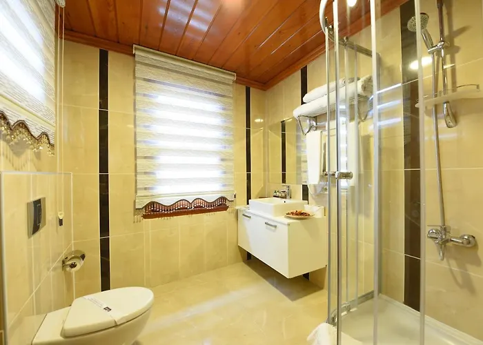 Ξενοδοχείο Elyka 3*