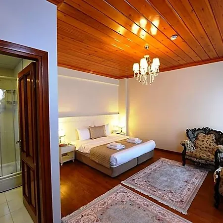 Hotel Elyka 3*