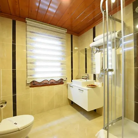 Hotel Elyka 3*