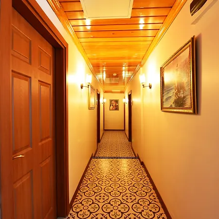 فندق Elyka