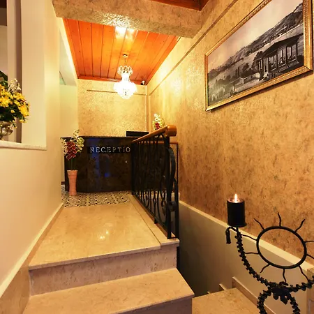 Elyka فندق
