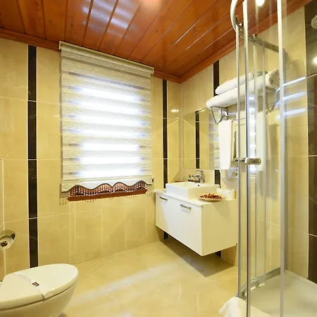 Hotel Elyka 3*